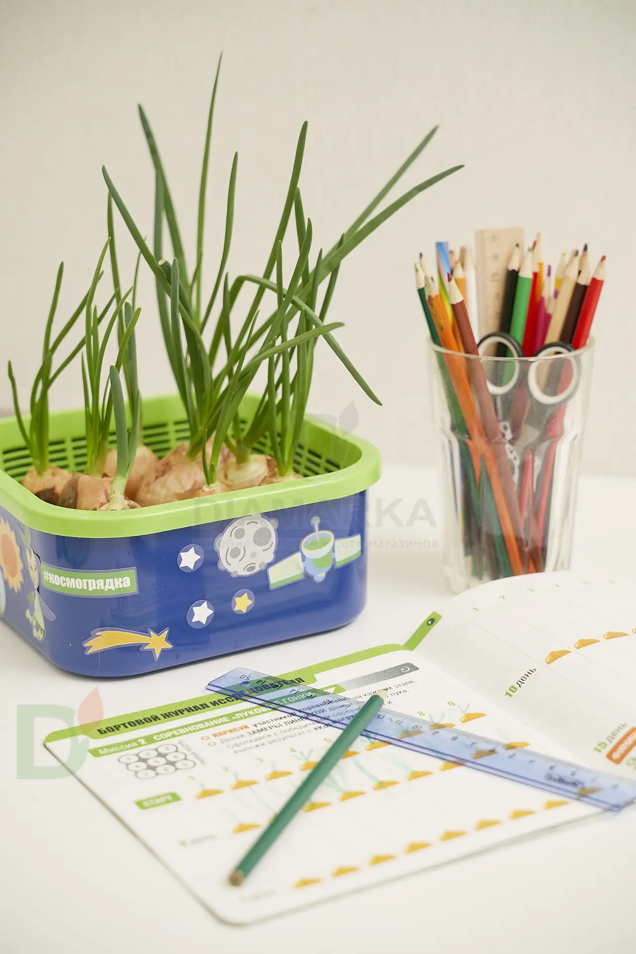 Проращиватель Космогрядка для детей Здоровья клад